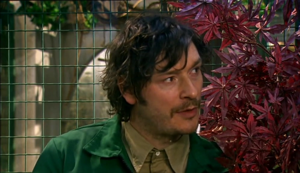 HE DREAMT ABOUT A ZOO SO SMALL IT COULD FIT INSIDE A KEY. 