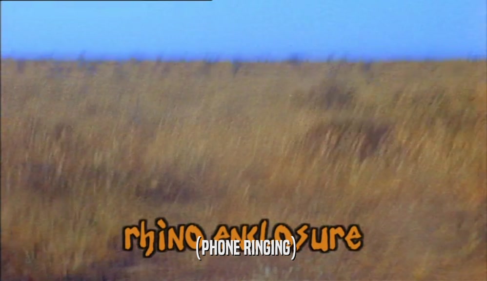 (PHONE RINGING)  