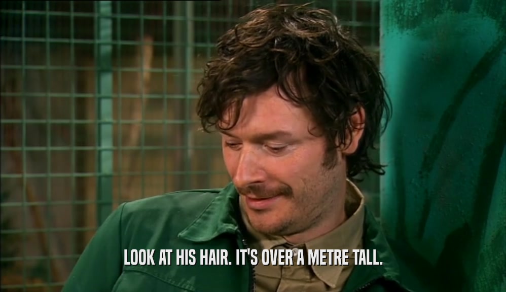 LOOK AT HIS HAIR. IT'S OVER A METRE TALL.  