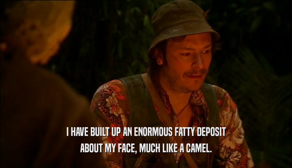 I HAVE BUILT UP AN ENORMOUS FATTY DEPOSIT ABOUT MY FACE, MUCH LIKE A CAMEL. 