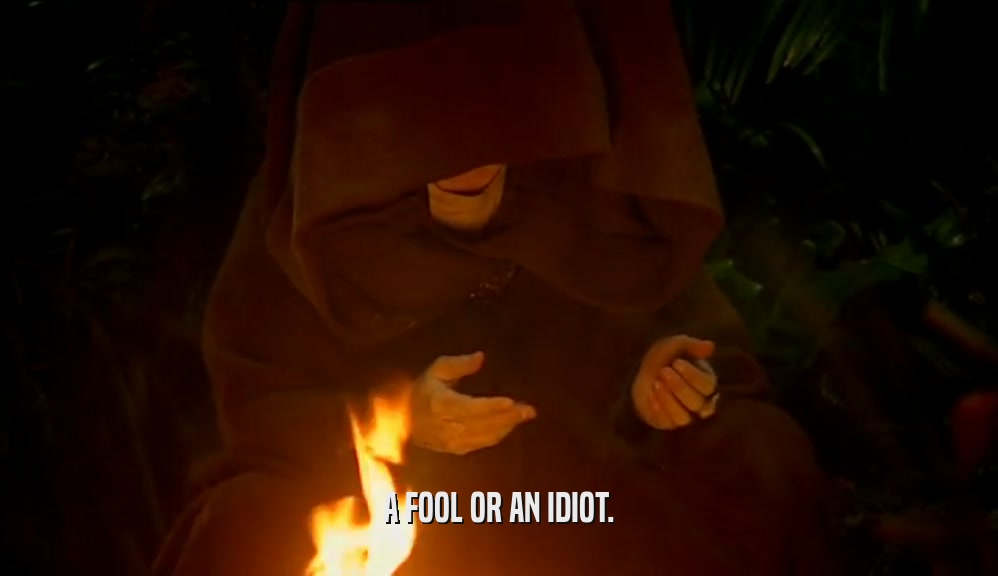 A FOOL OR AN IDIOT.  