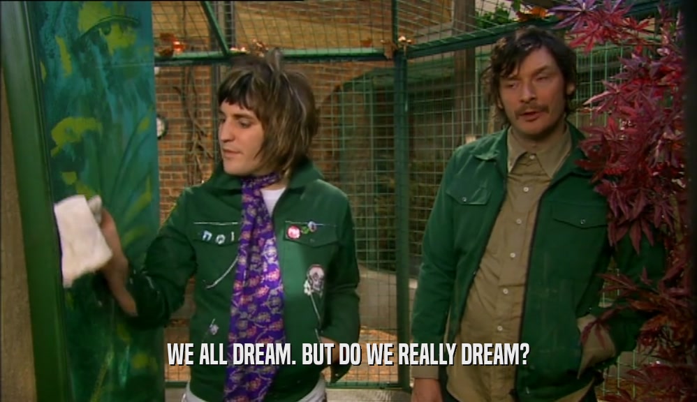 WE ALL DREAM. BUT DO WE REALLY DREAM?  