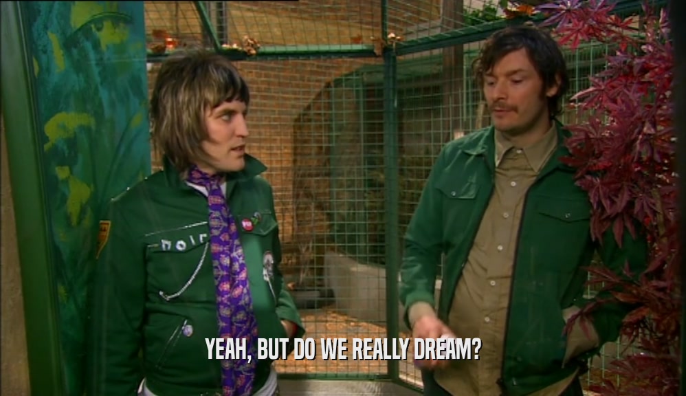 YEAH, BUT DO WE REALLY DREAM?  