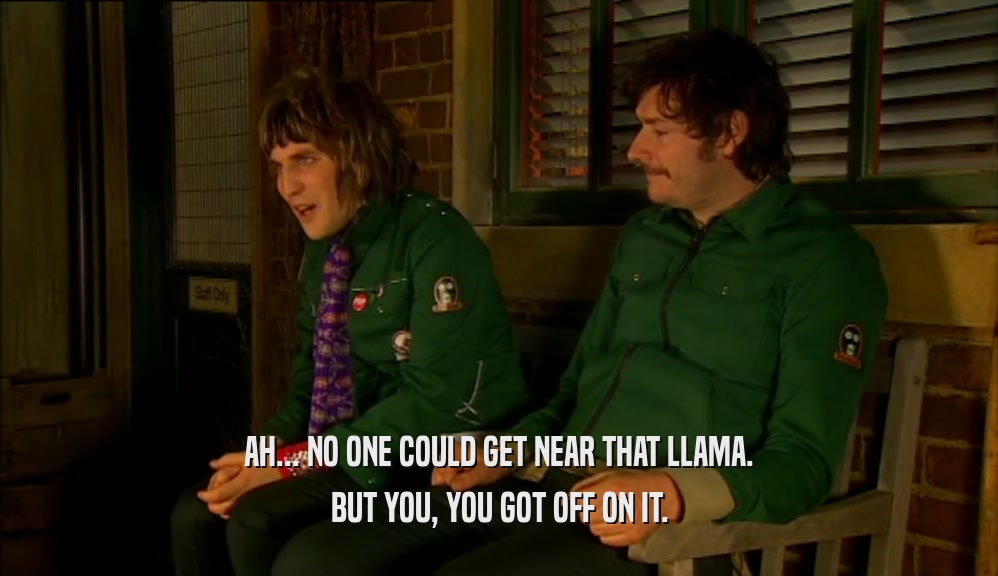 AH... NO ONE COULD GET NEAR THAT LLAMA. BUT YOU, YOU GOT OFF ON IT. 