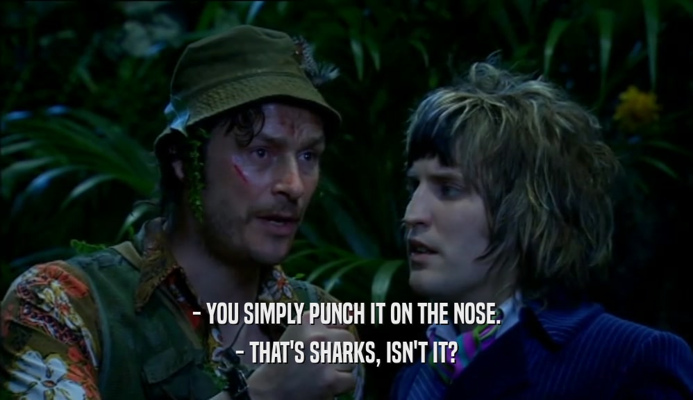 - YOU SIMPLY PUNCH IT ON THE NOSE. - THAT'S SHARKS, ISN'T IT? 