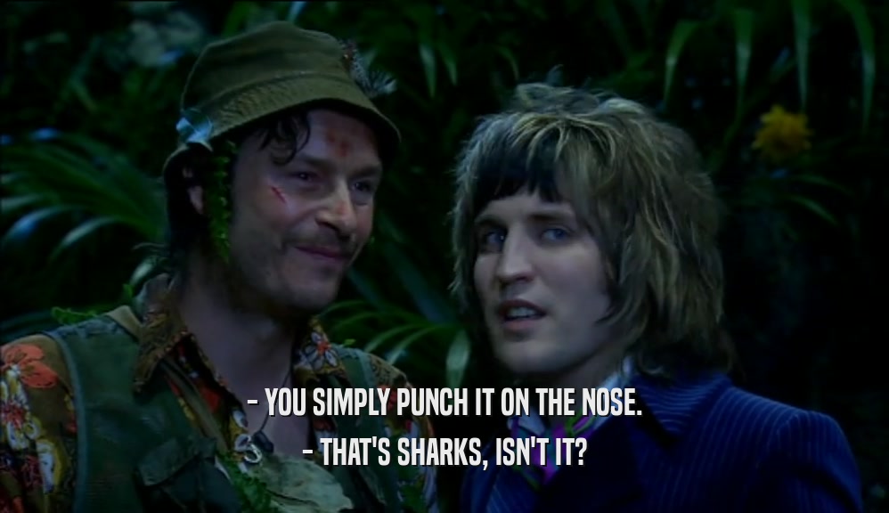 - YOU SIMPLY PUNCH IT ON THE NOSE. - THAT'S SHARKS, ISN'T IT? 