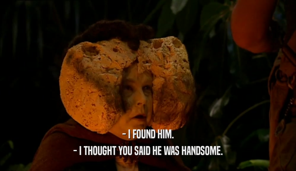 - I FOUND HIM. - I THOUGHT YOU SAID HE WAS HANDSOME. 
