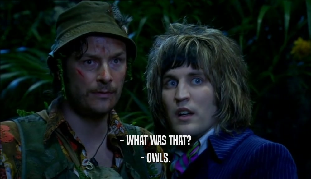 - WHAT WAS THAT?
 - OWLS.
 