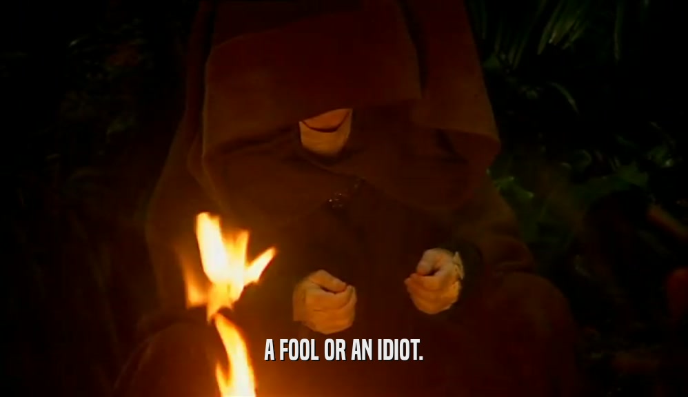 A FOOL OR AN IDIOT.  