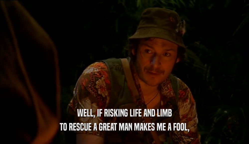 WELL, IF RISKING LIFE AND LIMB TO RESCUE A GREAT MAN MAKES ME A FOOL, 