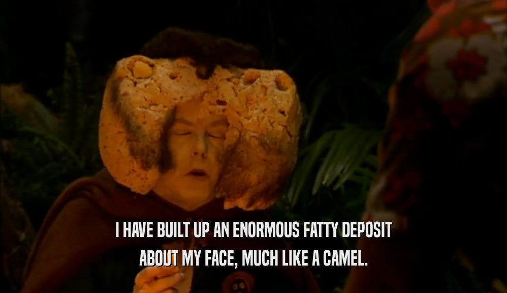 I HAVE BUILT UP AN ENORMOUS FATTY DEPOSIT ABOUT MY FACE, MUCH LIKE A CAMEL. 