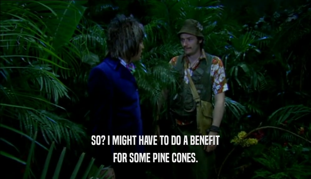 SO? I MIGHT HAVE TO DO A BENEFIT FOR SOME PINE CONES. 