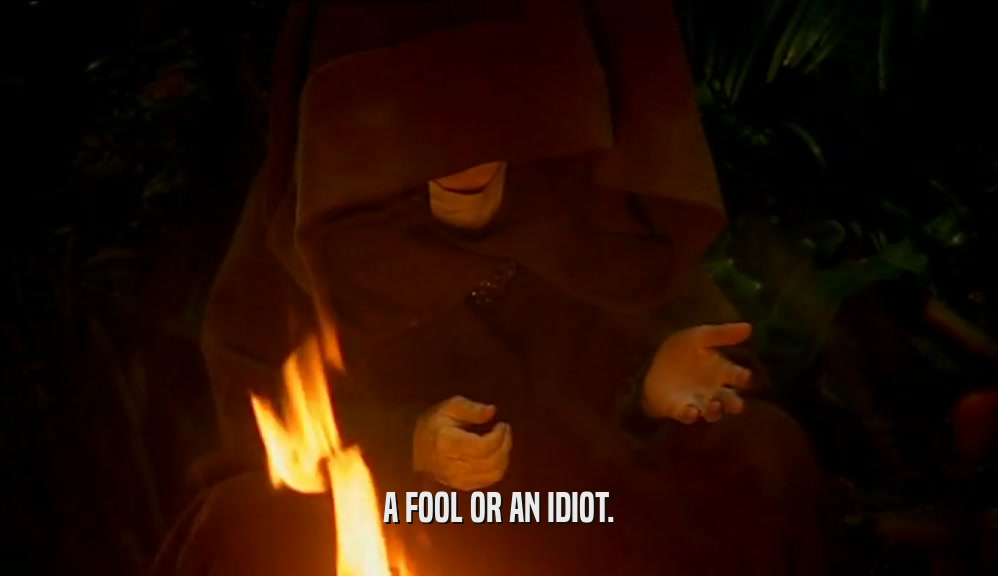 A FOOL OR AN IDIOT.  