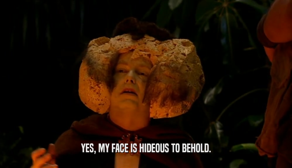 YES, MY FACE IS HIDEOUS TO BEHOLD.  