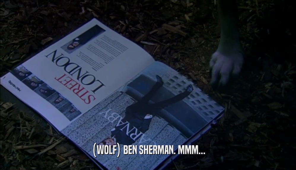 (WOLF) BEN SHERMAN. MMM...  