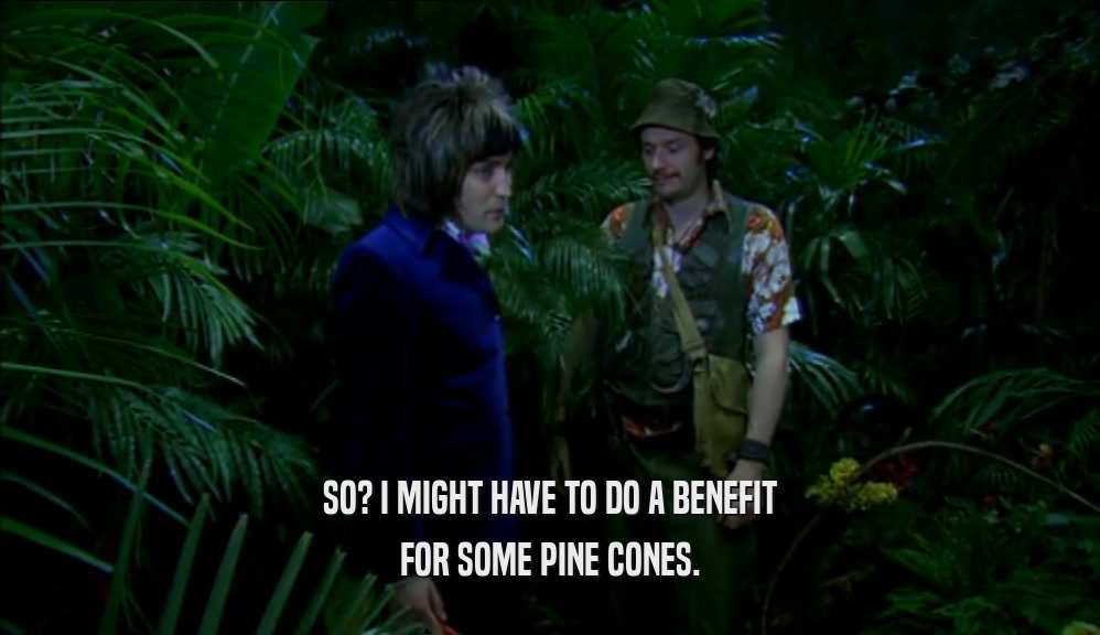 SO? I MIGHT HAVE TO DO A BENEFIT FOR SOME PINE CONES. 