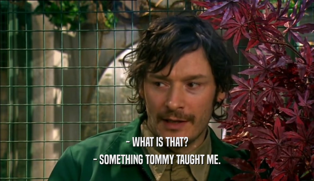 - WHAT IS THAT? - SOMETHING TOMMY TAUGHT ME. 
