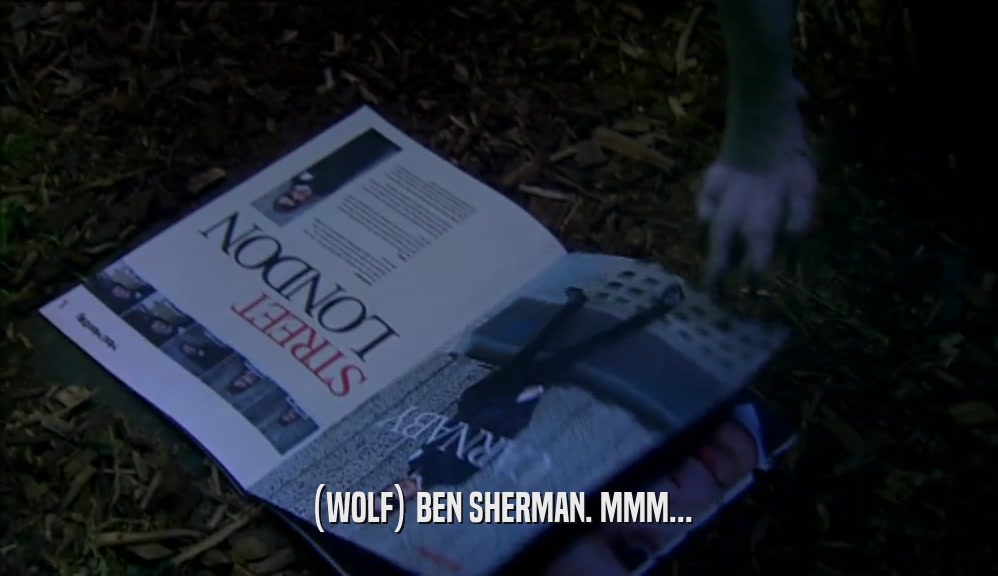 (WOLF) BEN SHERMAN. MMM...  