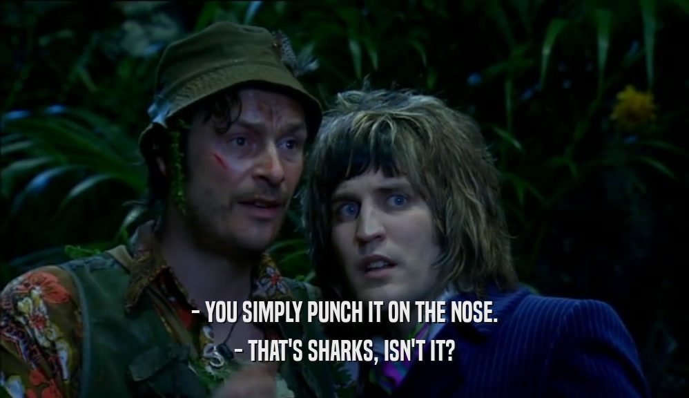 - YOU SIMPLY PUNCH IT ON THE NOSE. - THAT'S SHARKS, ISN'T IT? 
