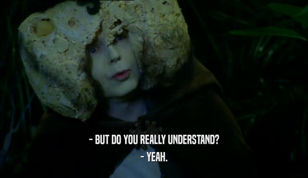 - BUT DO YOU REALLY UNDERSTAND? - YEAH. 