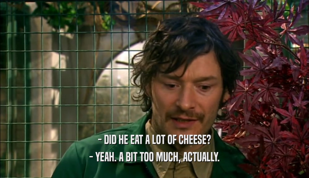 - DID HE EAT A LOT OF CHEESE?
 - YEAH. A BIT TOO MUCH, ACTUALLY.
 