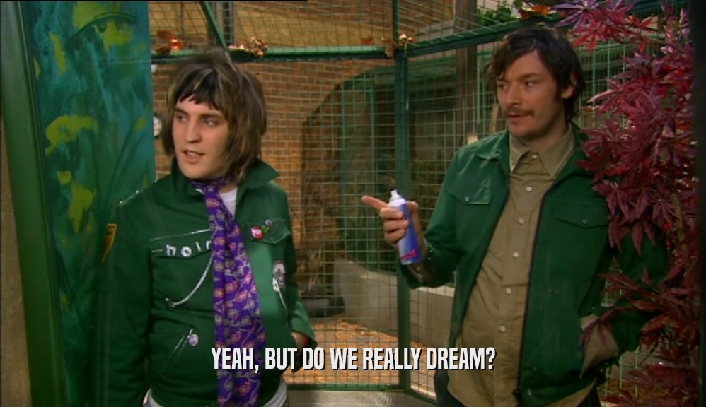 YEAH, BUT DO WE REALLY DREAM?  