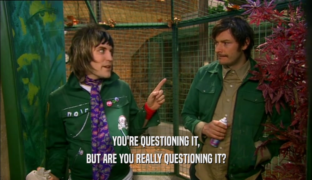 YOU'RE QUESTIONING IT, BUT ARE YOU REALLY QUESTIONING IT? 