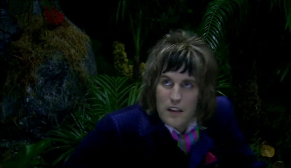 - WHAT WAS THAT? - OWLS. 