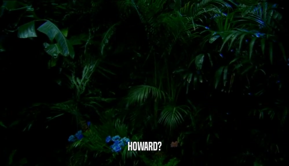 HOWARD?  