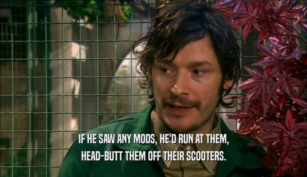 IF HE SAW ANY MODS, HE'D RUN AT THEM, HEAD-BUTT THEM OFF THEIR SCOOTERS. 