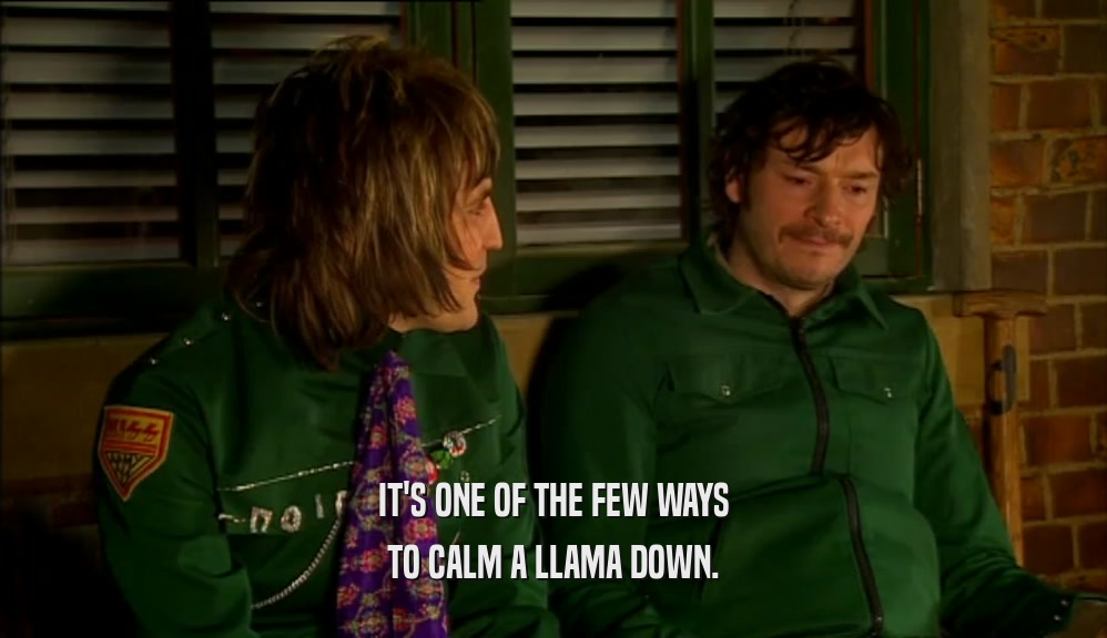 IT'S ONE OF THE FEW WAYS TO CALM A LLAMA DOWN. 