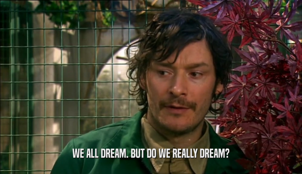 WE ALL DREAM. BUT DO WE REALLY DREAM?  