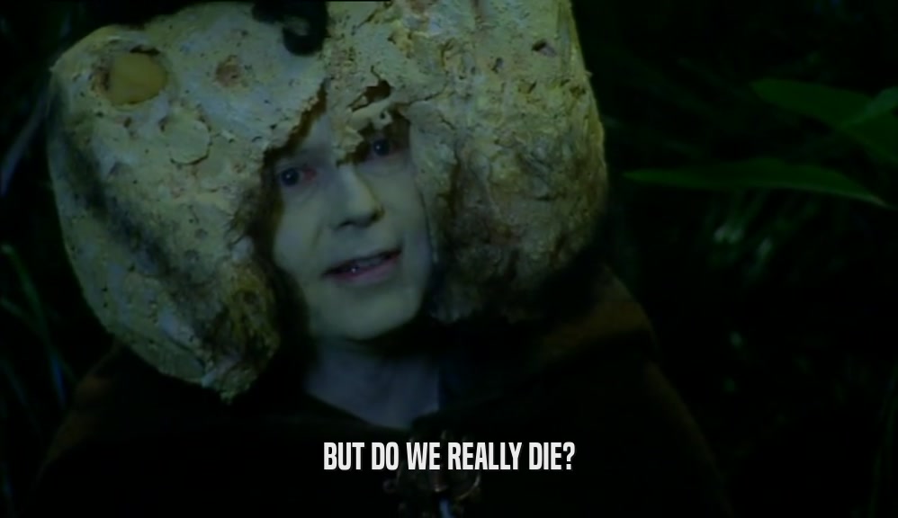 BUT DO WE REALLY DIE?  