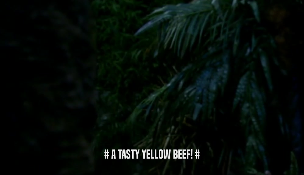 # A TASTY YELLOW BEEF! #  