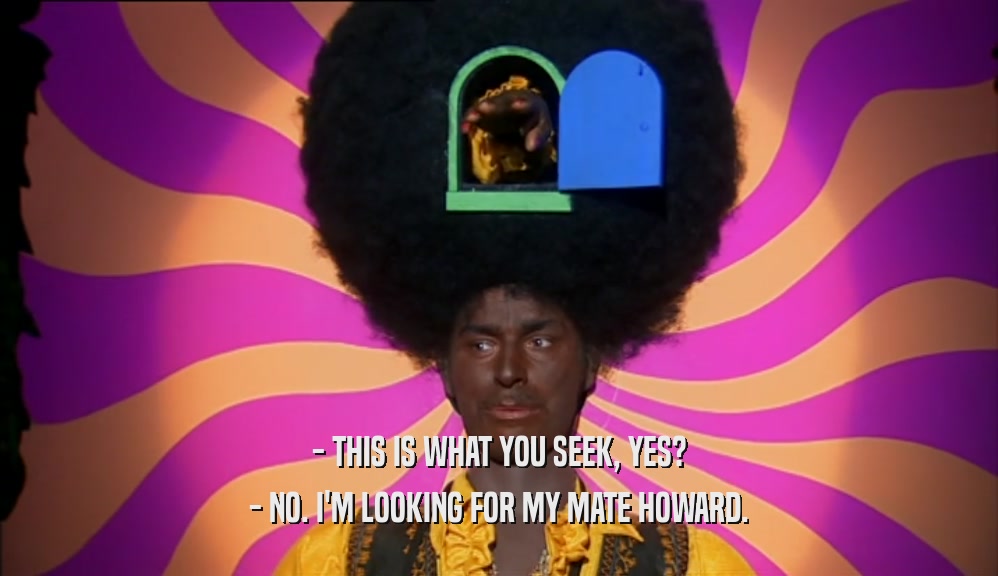 - THIS IS WHAT YOU SEEK, YES? - NO. I'M LOOKING FOR MY MATE HOWARD. 