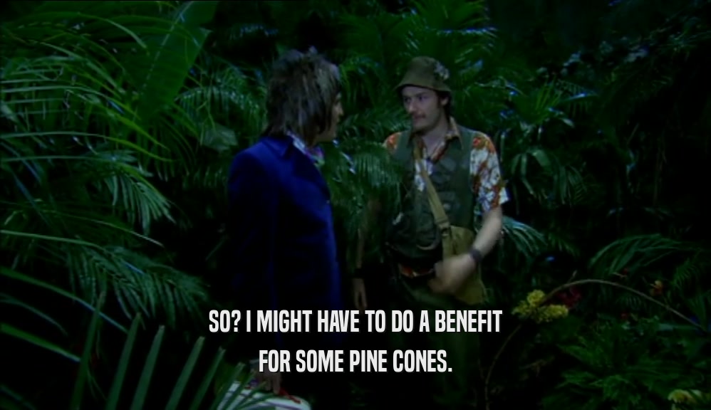 SO? I MIGHT HAVE TO DO A BENEFIT FOR SOME PINE CONES. 