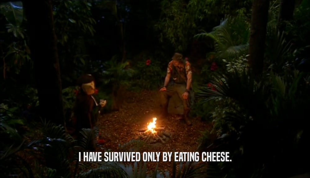 I HAVE SURVIVED ONLY BY EATING CHEESE.  