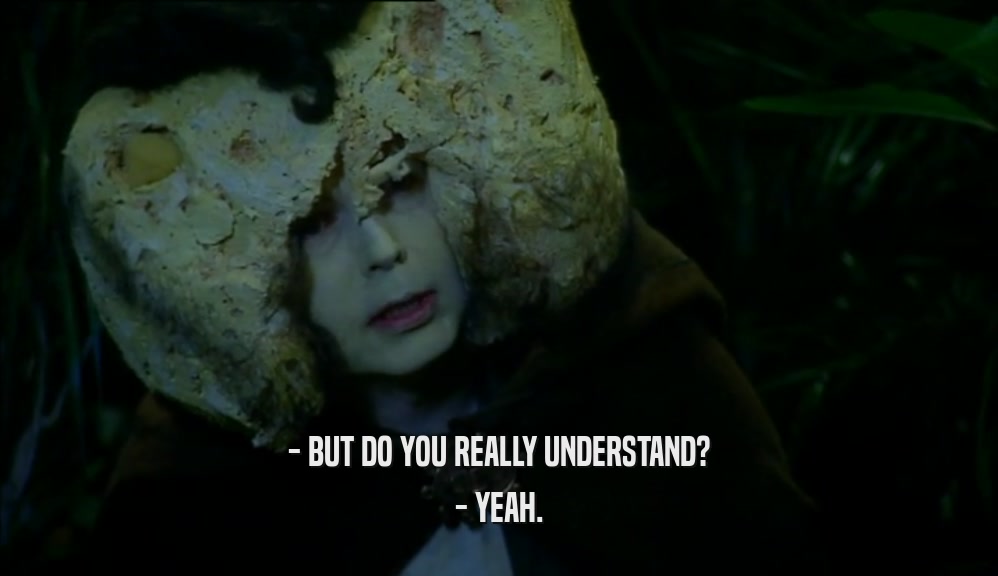 - BUT DO YOU REALLY UNDERSTAND? - YEAH. 
