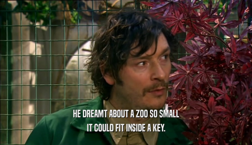 HE DREAMT ABOUT A ZOO SO SMALL
 IT COULD FIT INSIDE A KEY.
 