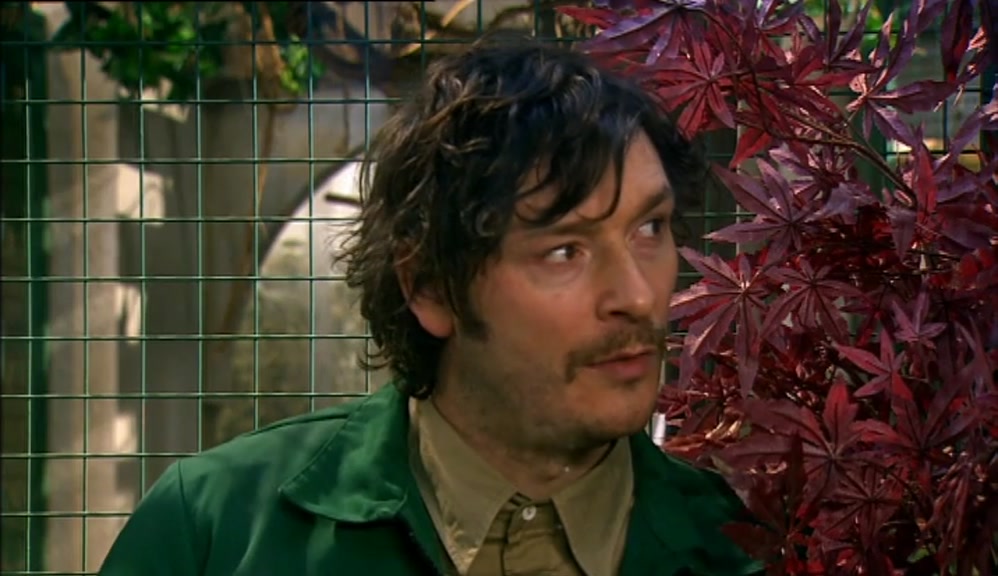 HE DREAMT ABOUT A ZOO SO SMALL IT COULD FIT INSIDE A KEY. 