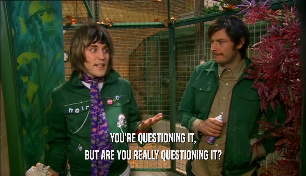 YOU'RE QUESTIONING IT, BUT ARE YOU REALLY QUESTIONING IT? 