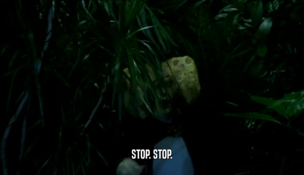 STOP. STOP.  