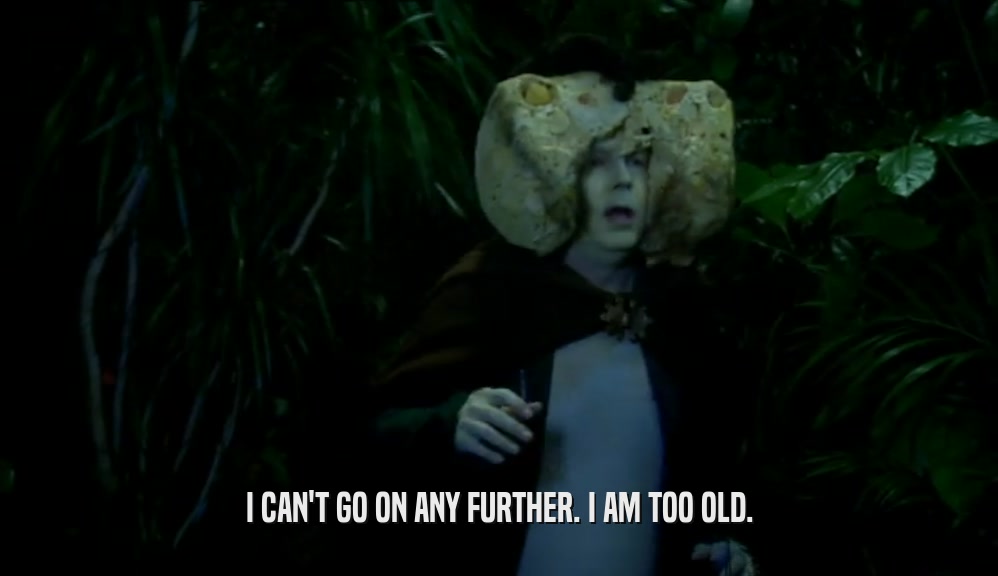 I CAN'T GO ON ANY FURTHER. I AM TOO OLD.  