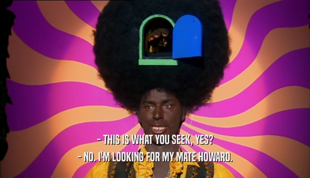 - THIS IS WHAT YOU SEEK, YES? - NO. I'M LOOKING FOR MY MATE HOWARD. 