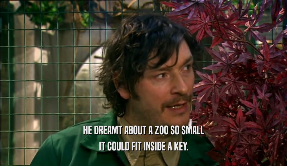 HE DREAMT ABOUT A ZOO SO SMALL
 IT COULD FIT INSIDE A KEY.
 