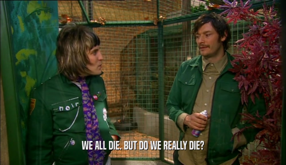 WE ALL DIE. BUT DO WE REALLY DIE?  