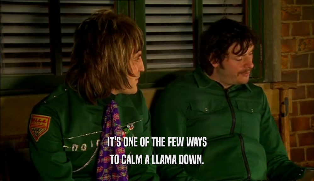 IT'S ONE OF THE FEW WAYS TO CALM A LLAMA DOWN. 