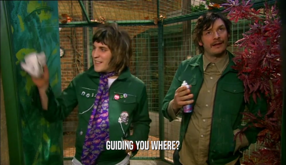 GUIDING YOU WHERE?  