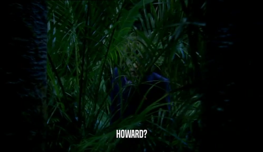 HOWARD?  
