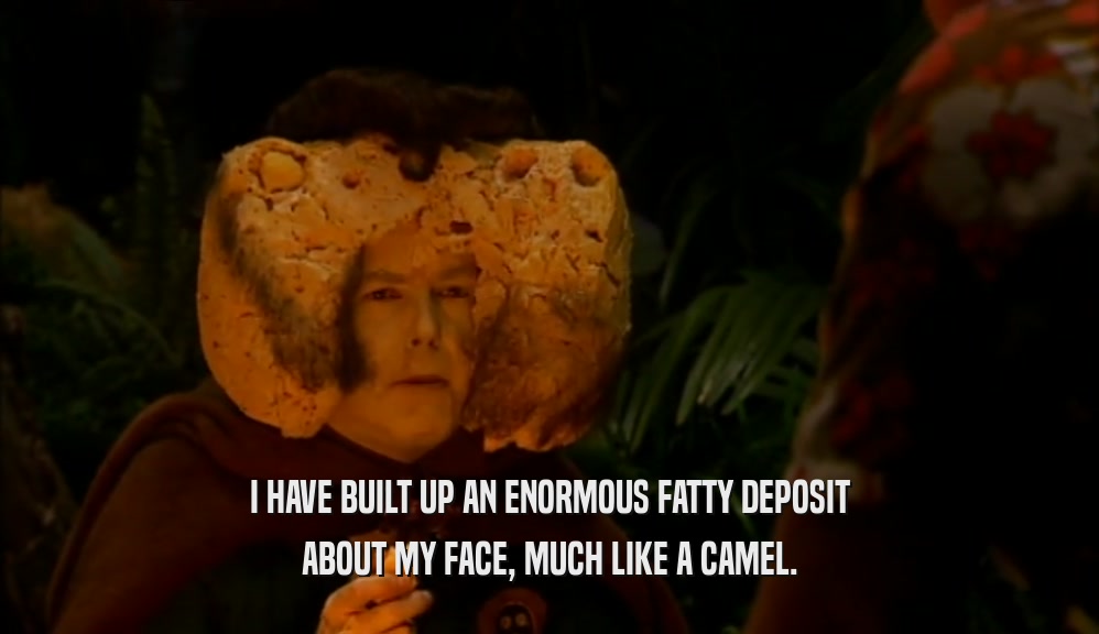 I HAVE BUILT UP AN ENORMOUS FATTY DEPOSIT ABOUT MY FACE, MUCH LIKE A CAMEL. 